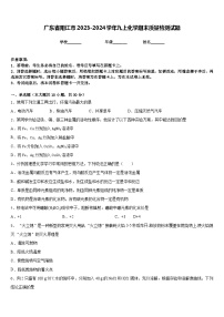 广东省阳江市2023-2024学年九上化学期末质量检测试题含答案