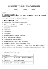 广东省阳江市实验中学2023-2024学年化学九上期末监测试题含答案