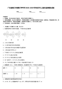 广东省阳江市阳春八甲中学2023-2024学年化学九上期末监测模拟试题含答案