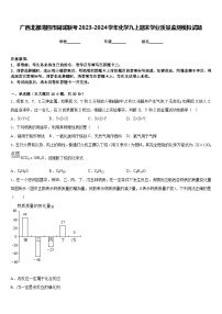 广西北部湾四市同城联考2023-2024学年化学九上期末学业质量监测模拟试题含答案