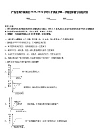 广西北海市银海区2023-2024学年九年级化学第一学期期末复习检测试题含答案