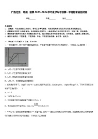 广西北流、陆川、容县2023-2024学年化学九年级第一学期期末监测试题含答案