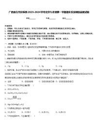 广西崇左市扶绥县2023-2024学年化学九年级第一学期期末质量跟踪监视试题含答案