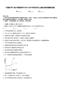 广西南宁市广西大学附属中学2023-2024学年化学九上期末质量检测模拟试题含答案