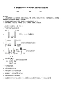 广西昭平县2023-2024学年九上化学期末检测试题含答案