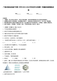 广西壮族自治区南宁市第二中学2023-2024学年化学九年级第一学期期末调研模拟试题含答案