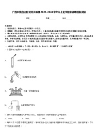 广西壮族自治区河池天峨县2023-2024学年九上化学期末调研模拟试题含答案