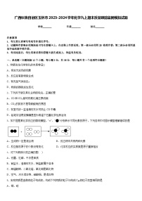 广西壮族自治区玉林市2023-2024学年化学九上期末质量跟踪监视模拟试题含答案