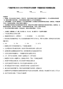 广西昭平县2023-2024学年化学九年级第一学期期末复习检测模拟试题含答案