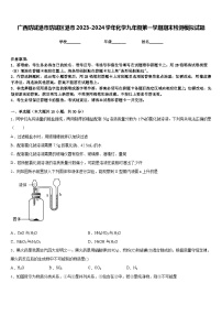 广西防城港市防城区港市2023-2024学年化学九年级第一学期期末检测模拟试题含答案