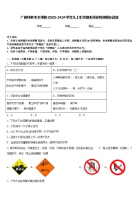 广西桂林市全州县2023-2024学年九上化学期末质量检测模拟试题含答案