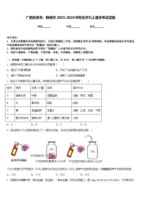 广西河池市、柳州市2023-2024学年化学九上期末考试试题含答案