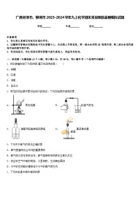 广西河池市、柳州市2023-2024学年九上化学期末质量跟踪监视模拟试题含答案