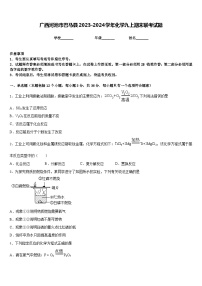 广西河池市巴马县2023-2024学年化学九上期末联考试题含答案