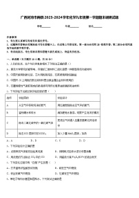 广西河池市两县2023-2024学年化学九年级第一学期期末调研试题含答案