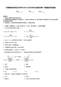 广西柳州市城中区文华中学2023-2024学年九年级化学第一学期期末检测试题含答案