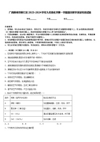 广西柳州市柳江区2023-2024学年九年级化学第一学期期末教学质量检测试题含答案