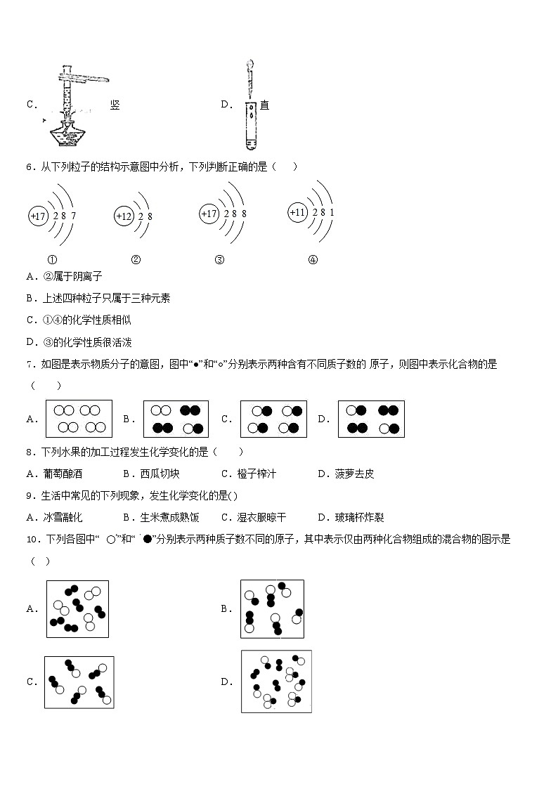 广西钦州市钦南区犀牛角中学2023-2024学年化学九年级第一学期期末综合测试模拟试题含答案第2页