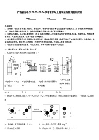 广西省百色市2023-2024学年化学九上期末达标检测模拟试题含答案