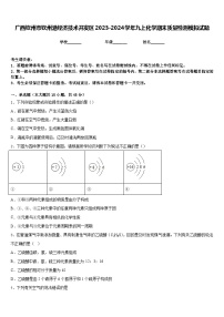 广西钦州市钦州港经济技术开发区2023-2024学年九上化学期末质量检测模拟试题含答案