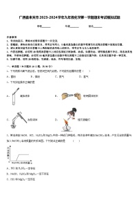 广西省来宾市2023-2024学年九年级化学第一学期期末考试模拟试题含答案