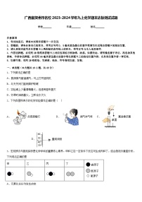 广西省贺州市名校2023-2024学年九上化学期末达标测试试题含答案