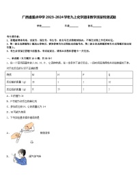 广西省重点中学2023-2024学年九上化学期末教学质量检测试题含答案