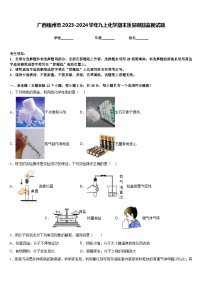 广西梧州市2023-2024学年九上化学期末质量跟踪监视试题含答案