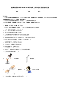 张掖市重点中学2023-2024学年九上化学期末达标测试试题含答案