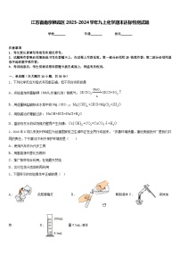 江苏省南京栖霞区2023-2024学年九上化学期末达标检测试题含答案