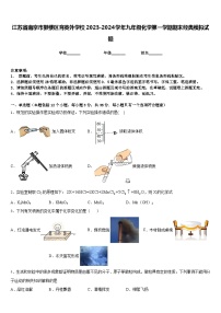 江苏省南京市鼓楼区育英外学校2023-2024学年九年级化学第一学期期末经典模拟试题含答案