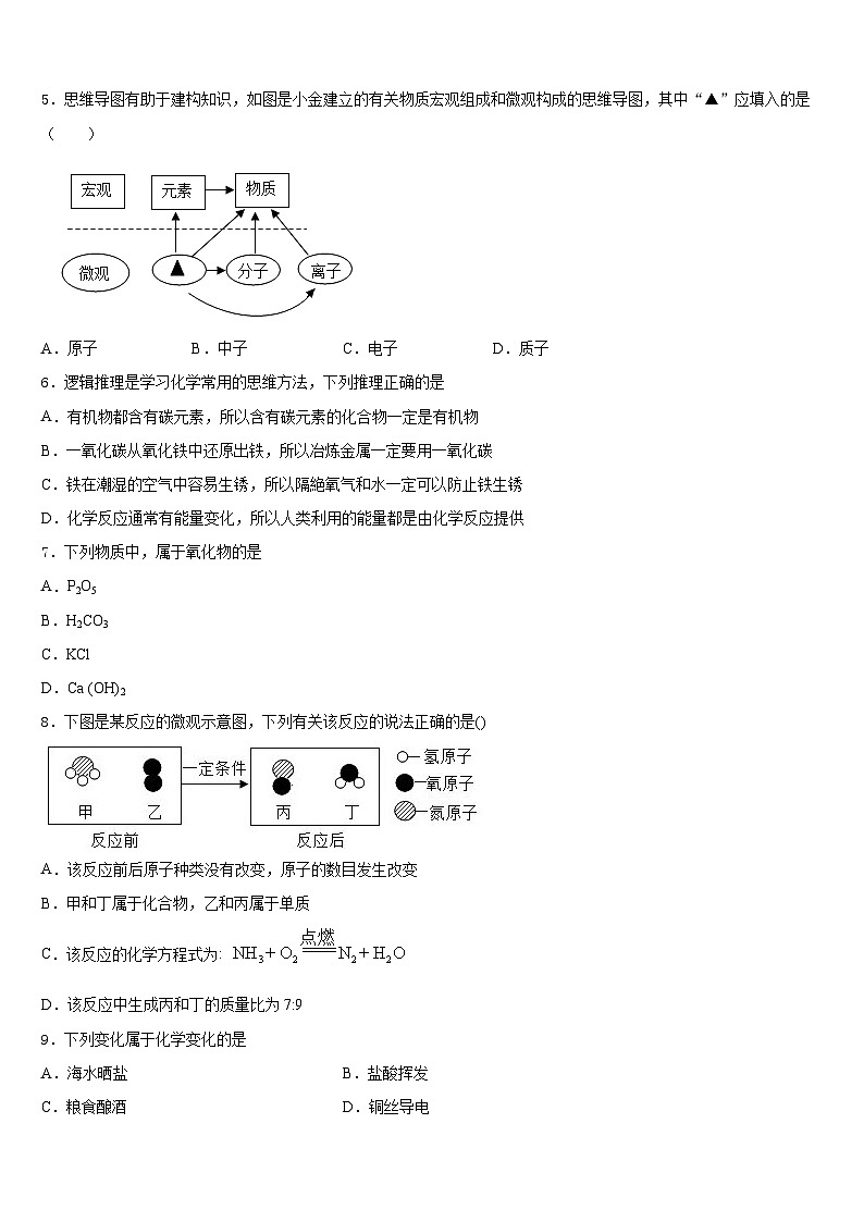江苏省南京玄武外国语学校2023-2024学年化学九上期末复习检测试题含答案第2页