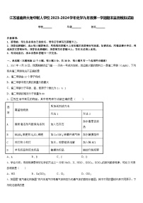 江苏省南师大附中树人学校2023-2024学年化学九年级第一学期期末监测模拟试题含答案