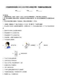 江苏省常州市武进区2023-2024学年九年级化学第一学期期末监测模拟试题含答案