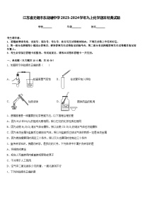 江苏省无锡市东湖塘中学2023-2024学年九上化学期末经典试题含答案