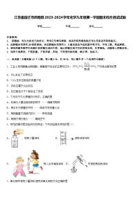 江苏省宿迁市泗阳县2023-2024学年化学九年级第一学期期末综合测试试题含答案