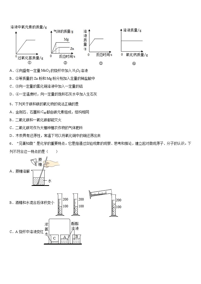 江苏省扬州市江都区江都实验中学2023-2024学年化学九年级第一学期期末监测模拟试题含答案02
