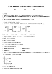 江苏省江都国际学校2023-2024学年化学九上期末考试模拟试题含答案