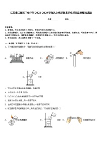 江苏省江都区丁伙中学2023-2024学年九上化学期末学业质量监测模拟试题含答案