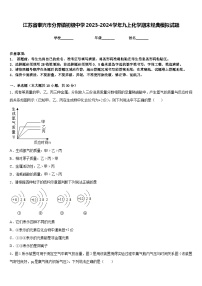 江苏省泰兴市分界镇初级中学2023-2024学年九上化学期末经典模拟试题含答案