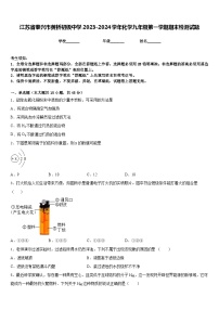 江苏省泰兴市黄桥初级中学2023-2024学年化学九年级第一学期期末检测试题含答案