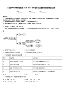 江苏省泰兴市黄桥东区域2023-2024学年化学九上期末综合测试模拟试题含答案