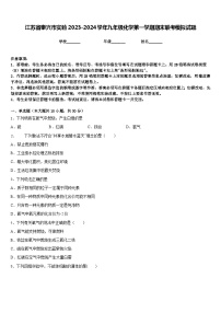 江苏省泰兴市实验2023-2024学年九年级化学第一学期期末联考模拟试题含答案