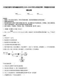 江苏省无锡市江阴市南闸实验学校2023-2024学年九年级化学第一学期期末综合测试模拟试题含答案