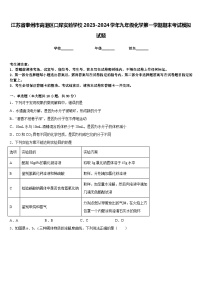 江苏省泰州市高港区口岸实验学校2023-2024学年九年级化学第一学期期末考试模拟试题含答案