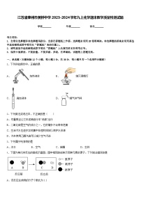 江苏省泰州市黄桥中学2023-2024学年九上化学期末教学质量检测试题含答案