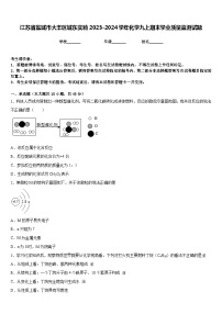 江苏省盐城市大丰区城东实验2023-2024学年化学九上期末学业质量监测试题含答案