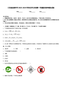 江苏省金陵中学2023-2024学年化学九年级第一学期期末联考模拟试题含答案