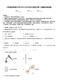 江苏省苏州市葛江中学2023-2024学年九年级化学第一学期期末预测试题含答案