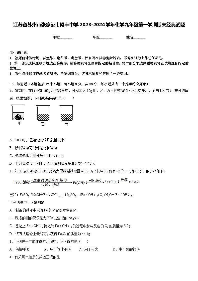 江苏省苏州市张家港市梁丰中学2023-2024学年化学九年级第一学期期末经典试题含答案第1页